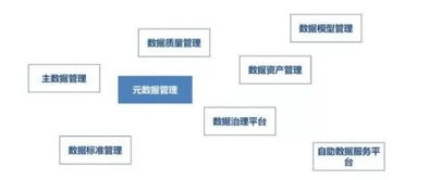 大數(shù)據(jù)治理 必備能力、關(guān)鍵技術(shù)及數(shù)據(jù)處理與存儲支持服務(wù)